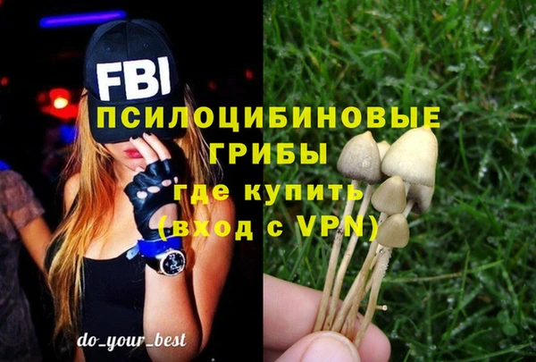 apvp Алексин