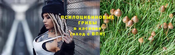 apvp Алексин