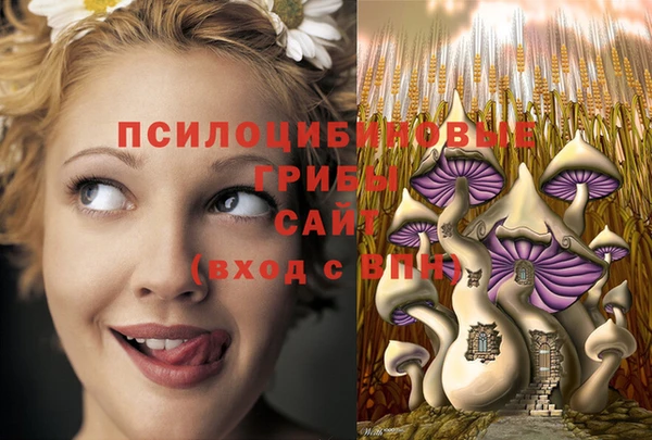 MDMA Premium VHQ Алзамай