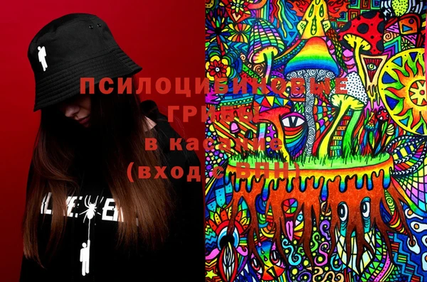 PSILOCYBIN Алексеевка
